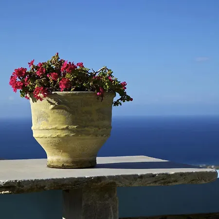 Amalgam Homes Tinos Arnados